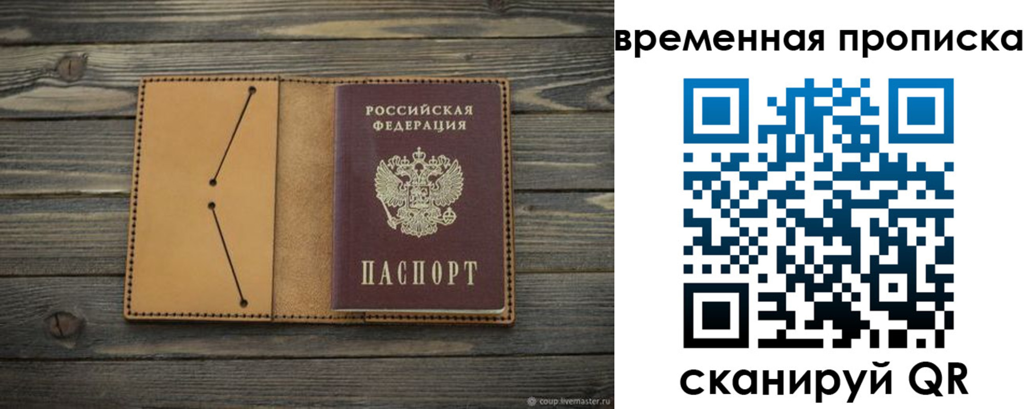 прописка паспорт в Светлогорске